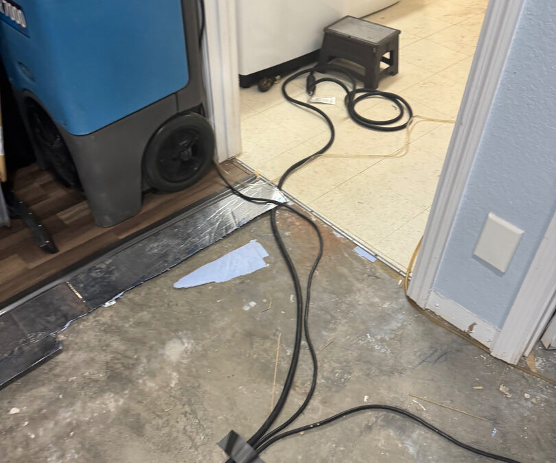 Your Essential Guide: Step-by-Step Water Damage Mitigation