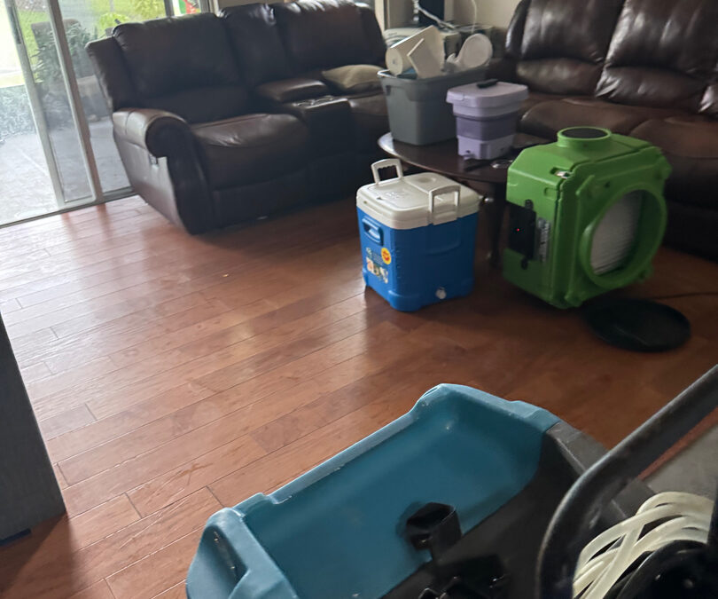 Comprehensive Water Damage Restoration: Protecting Your Home and Health