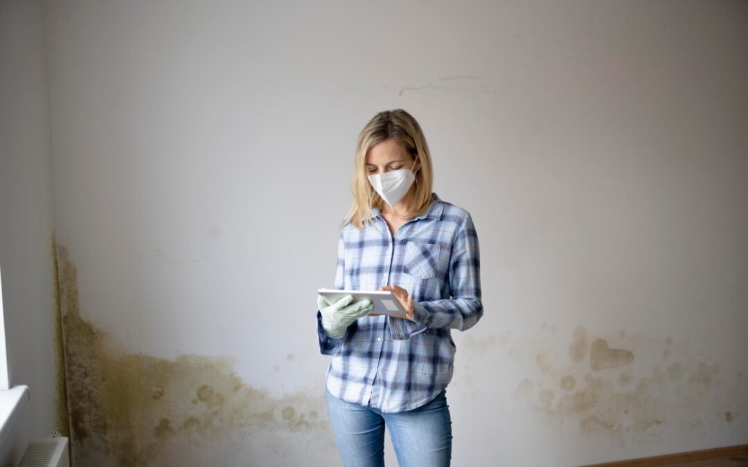 Uncovering the Hidden Dangers of Mold in Florida’s Humid Climate