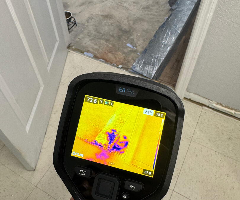 Act Fast: Why Early Water Damage Intervention Protects Your Home and Health in Florida