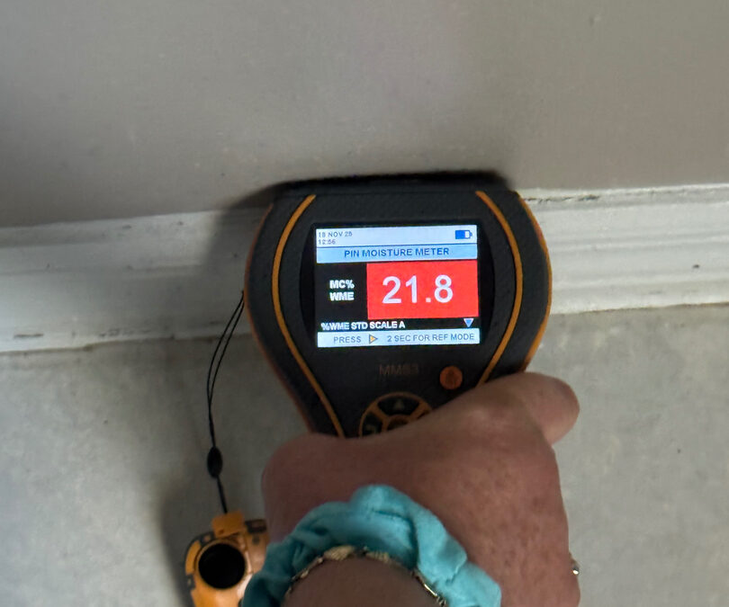 The Hidden Health Risks of Mold in Florida Homes—and How to Protect Your Family