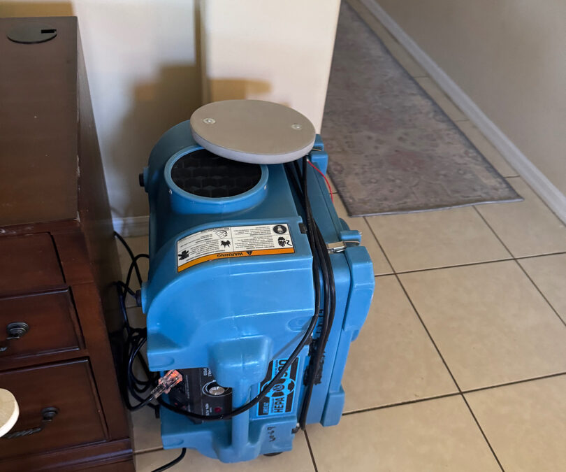 What to Do Immediately After Water Damage in Florida: Step-by-Step Actions to Prevent Mold and Structural Damage