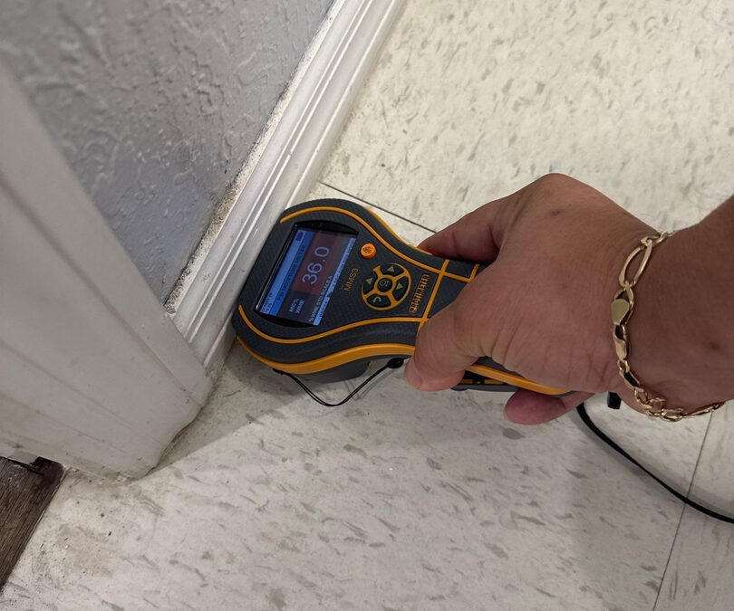 How to Choose the Right Mold Remediation Service for Your Florida Home