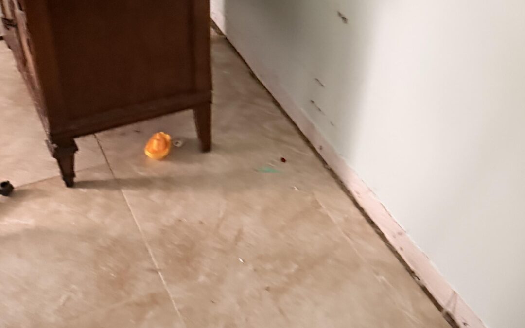 Is Your Water Damage Still Active? How to Spot Hidden Moisture Behind Walls and Floors in Florida Homes