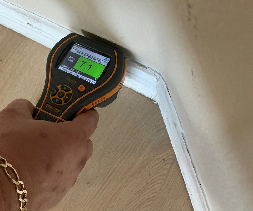 How Florida Humidity Fuels Hidden Moisture After Water Damage—and How to Fix It Fast